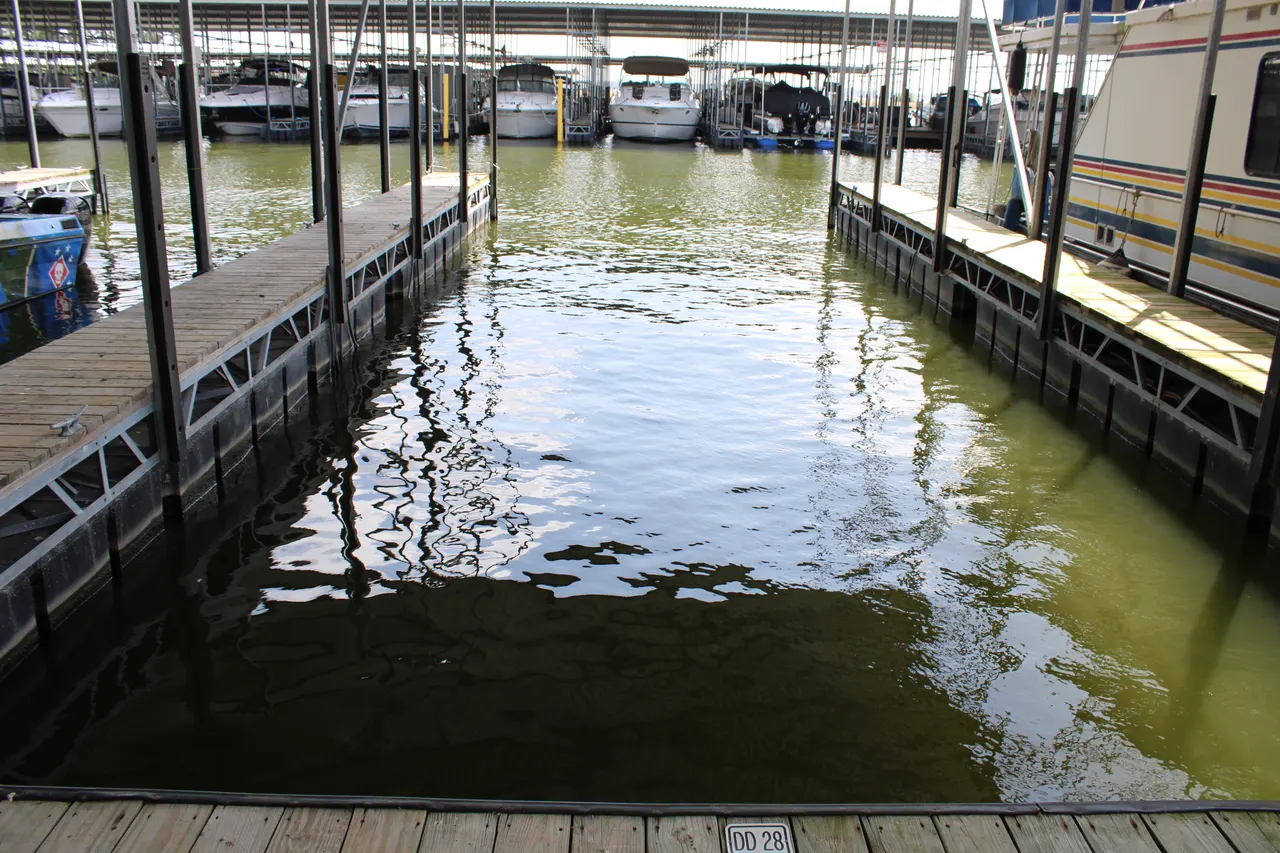 Empty covered slips available on D Dock